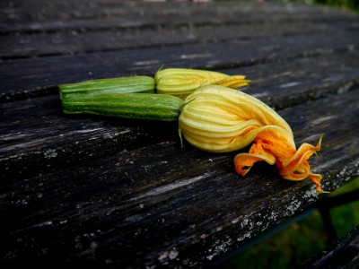 Beignet de fleur de courgettes