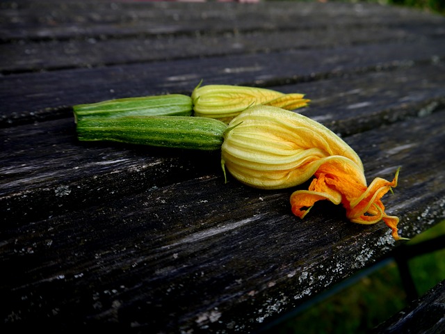 Beignet de fleur de courgettes
